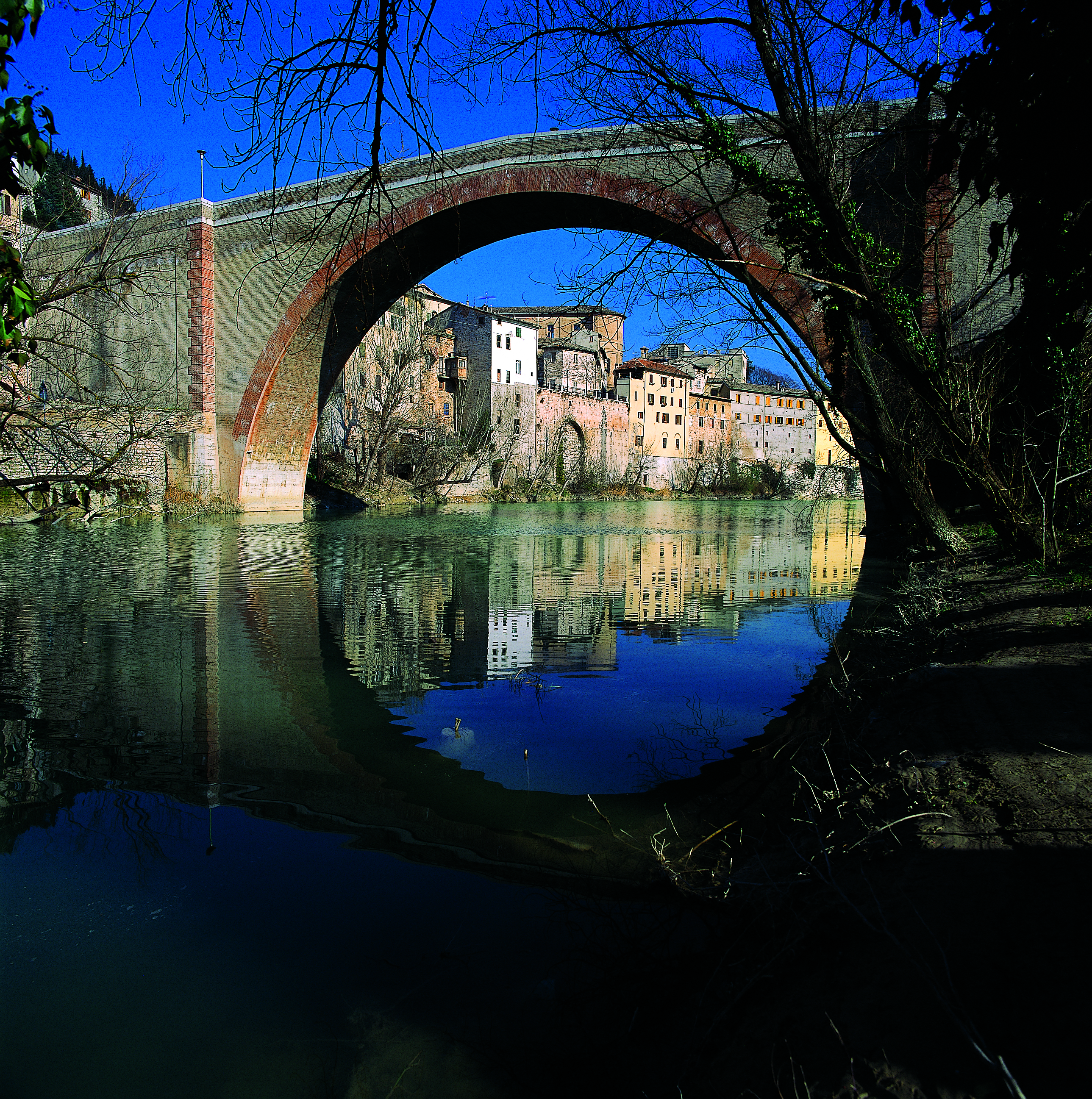 Tartufo delle Marche attraverso i suoi borghi | PaesiOnLine